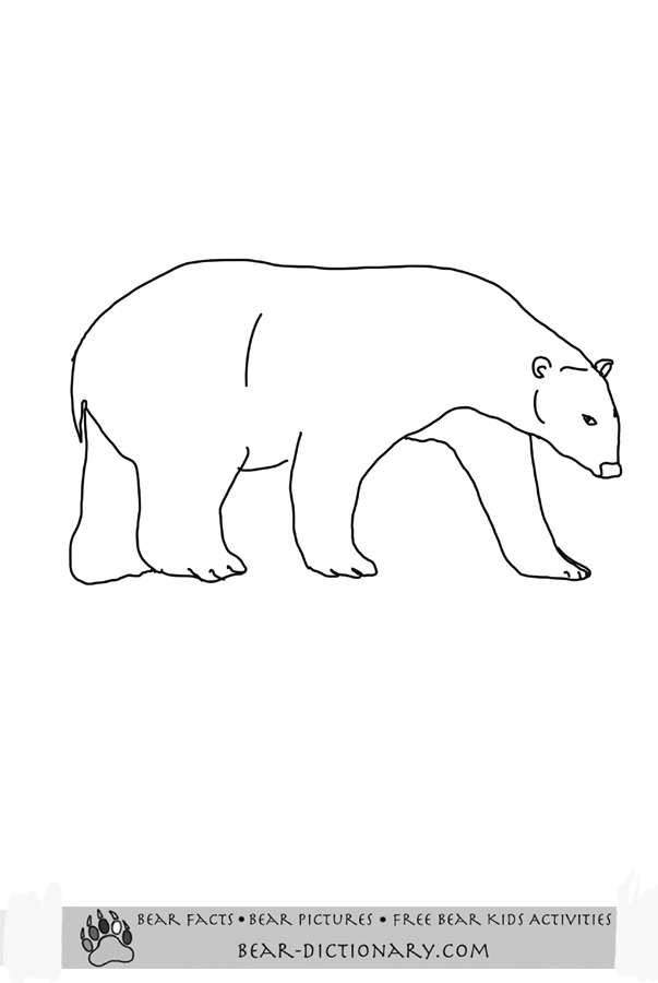 polar bear printables polar bear coloring pageshorace39s fave polar bear polar bear printables 