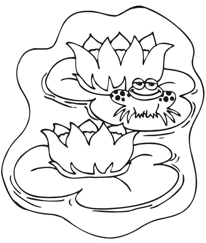 pond coloring pages free coloring pages of a frog in a pond coloring home coloring pond pages 
