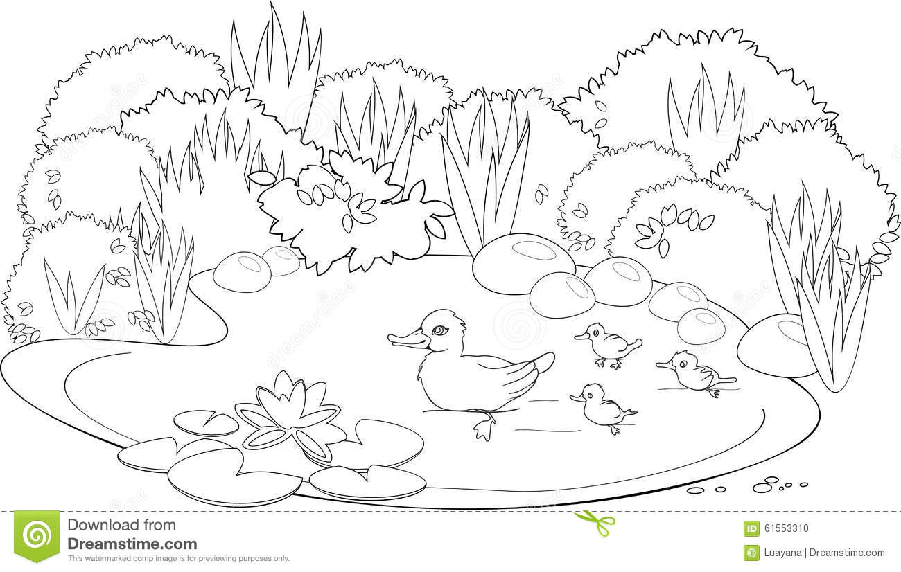 pond coloring pages pond coloring download pond coloring for free 2019 pages coloring pond 