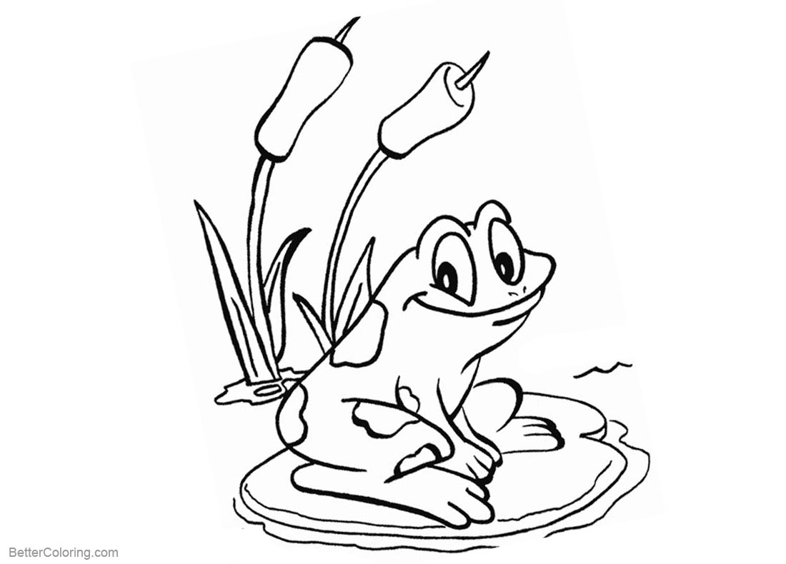 pond coloring pages pond coloring pages frog sit on the water lily free coloring pages pond 