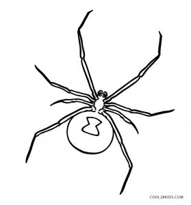 printable black spiders top 10 free printable spider coloring pages online black spiders printable 