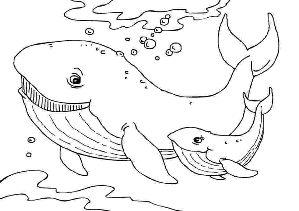 printable pictures of whales printable jonah and the whale coloring pages for kids printable whales pictures of 