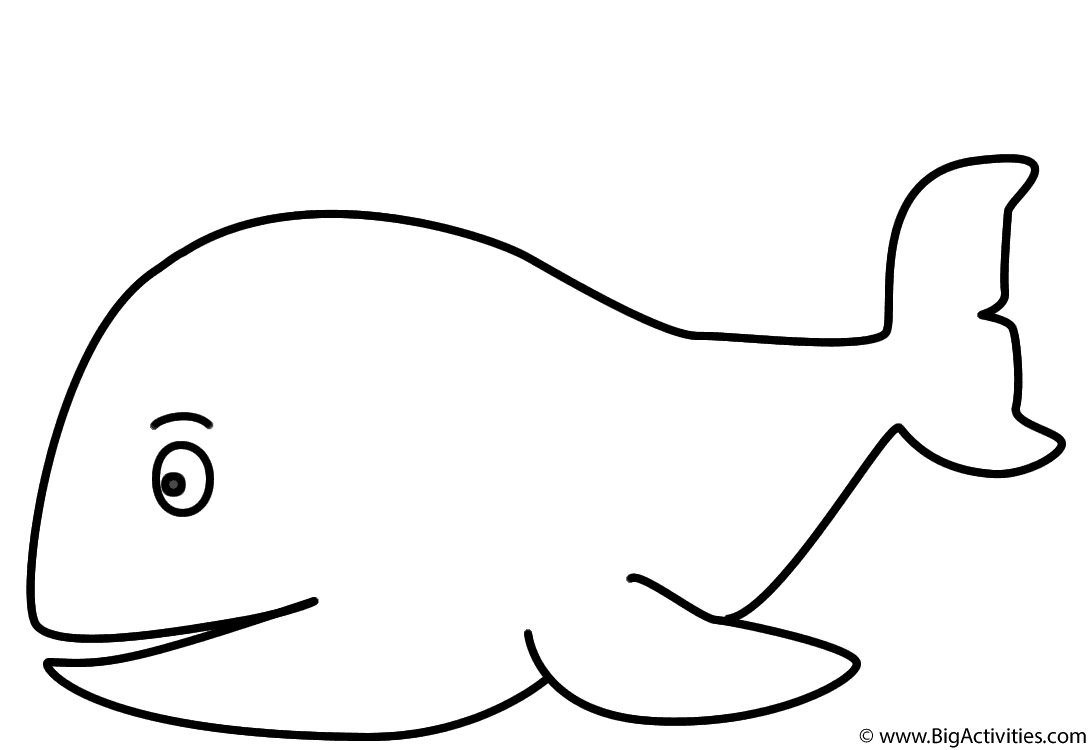 printable pictures of whales w is for whale coloring page free printable coloring pages whales pictures printable of 