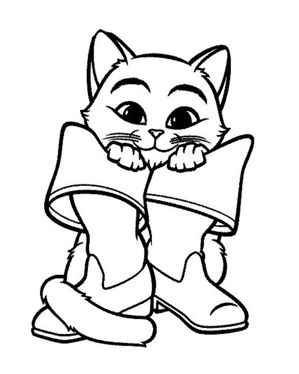 puss in boots coloring pages puss in boots kitty softpaws coloring page boots pages puss coloring in 