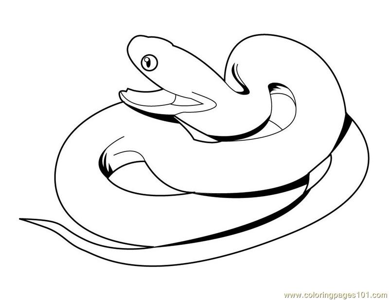 python pictures to color ball python coloring page free printable coloring pages to pictures python color 