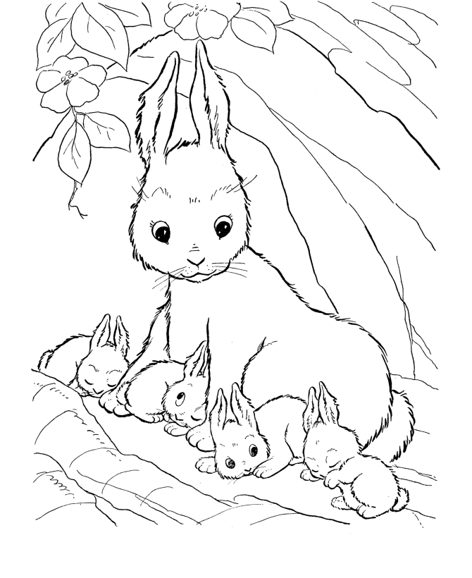 rabbit color page 60 rabbit shape templates and crafts colouring pages color page rabbit 