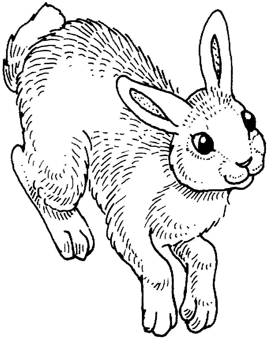 rabbit color page 60 rabbit shape templates and crafts colouring pages page color rabbit 