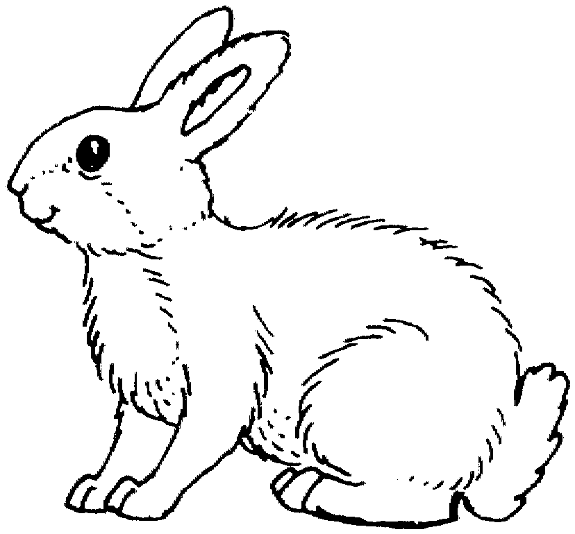 rabbit color page bunny coloring pages best coloring pages for kids rabbit color page 