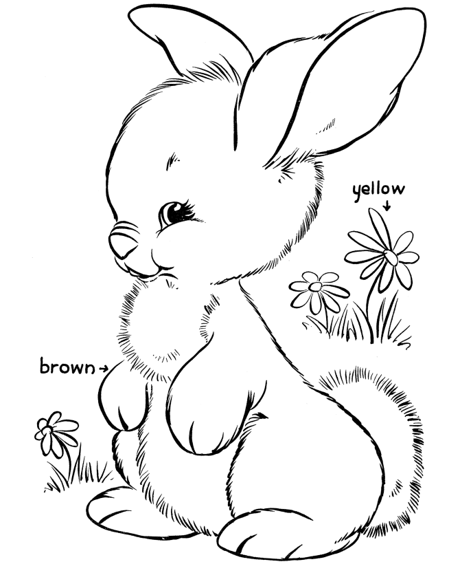 rabbit color page free printable rabbit coloring pages for kids page rabbit color 