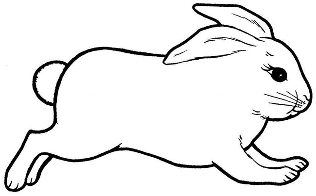 rabbit color page free rabbit coloring pages rabbit color page 