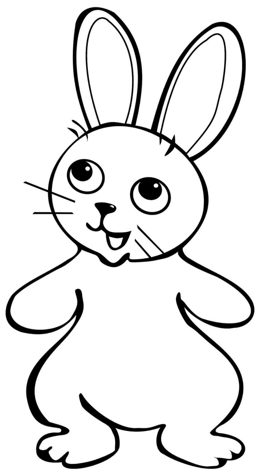 rabbit color page pets coloring pages best coloring pages for kids color page rabbit 