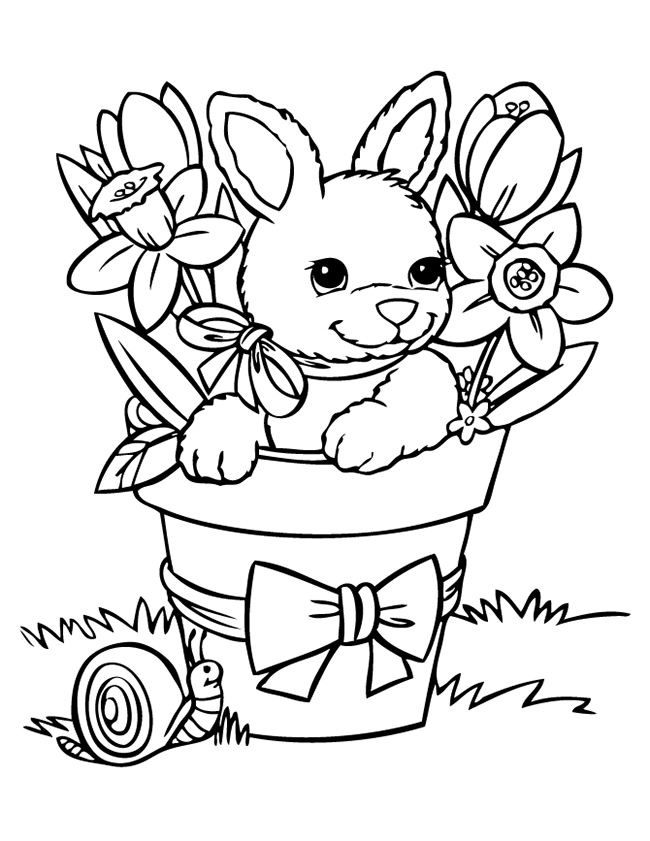 rabbit color page printable rabbit coloring pages for kids cool2bkids page rabbit color 