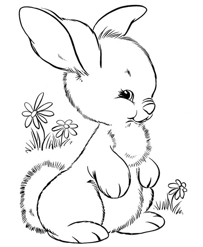 rabbit color page printable rabbit coloring pages for kids cool2bkids page rabbit color 1 1