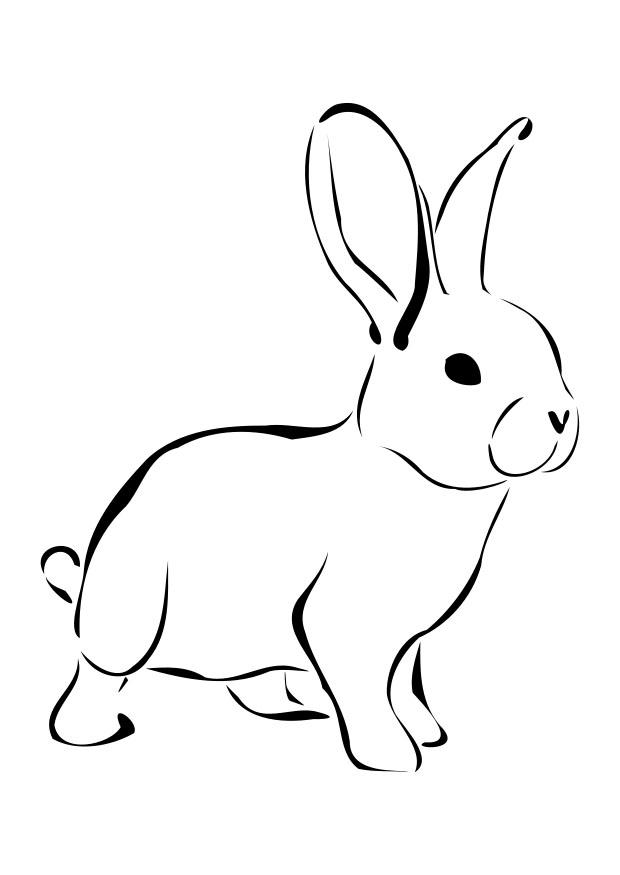 rabbit color pages bunny coloring pages best coloring pages for kids color pages rabbit 