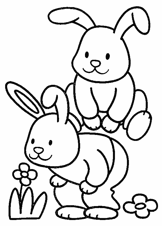 rabbit pictures for kids coloring pages of a rabbit printable free coloring sheets for pictures kids rabbit 