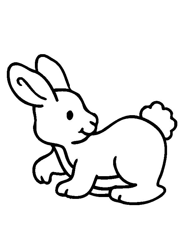 rabbit pictures for kids free printable bunny rabbit coloring pages for kids to for kids pictures rabbit 