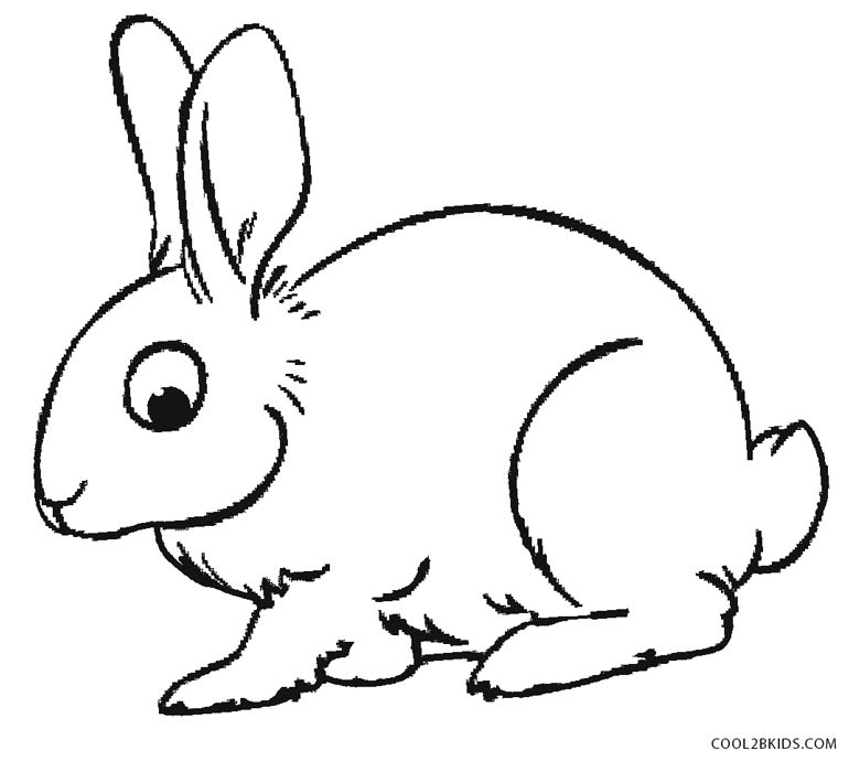 rabbit pictures for kids two rabbits animal coloring pages for kids to print color rabbit for pictures kids 