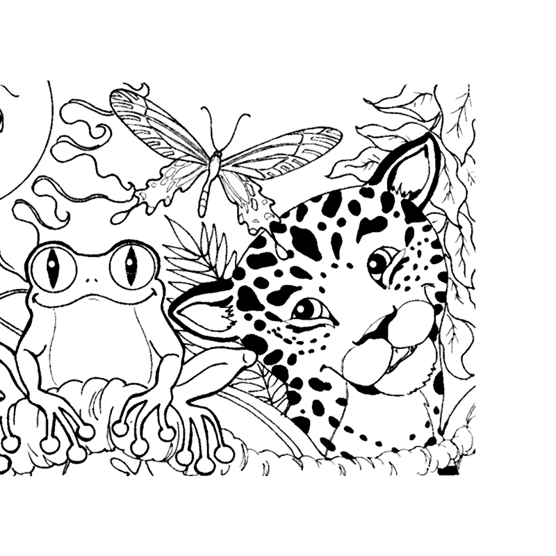 rainforest animals coloring pages magic tree house book club afternoon on the amazon pages rainforest coloring animals 