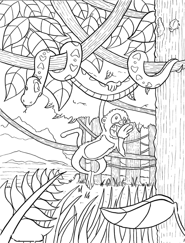 rainforest animals coloring pages the daily art of lemurkat colouring pages coloring rainforest pages animals 