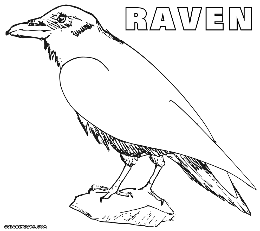 ravens coloring pages among the homeschool notes from the parsonage coloring pages ravens 