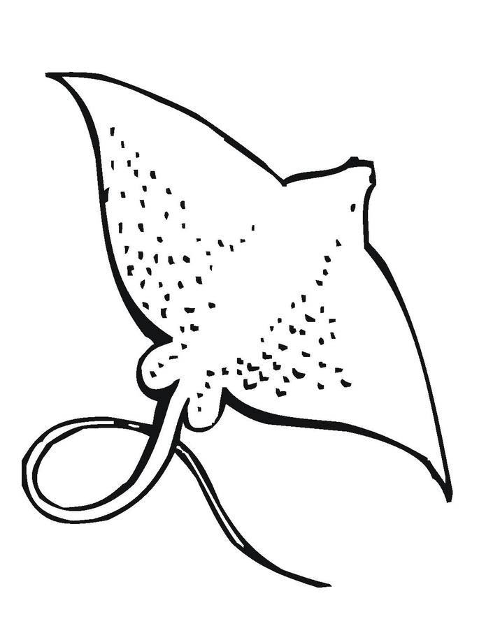 ray printable coloring pages m is for manta ray coloring pages m is for manta ray pages coloring ray printable 