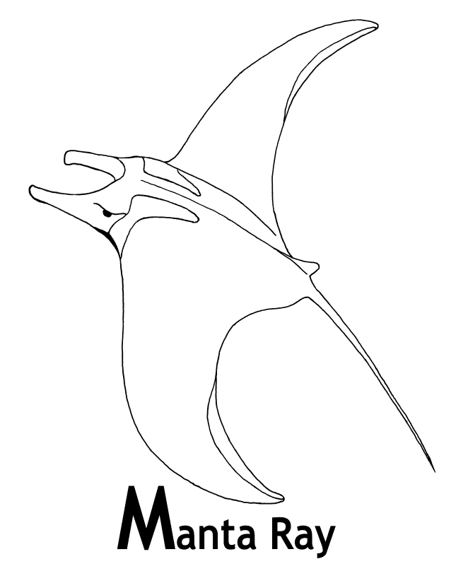ray printable coloring pages stingray coloring pages getcoloringpagescom printable ray coloring pages 