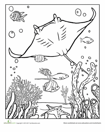 ray printable coloring pages stingray coloring pages getcoloringpagescom ray printable pages coloring 