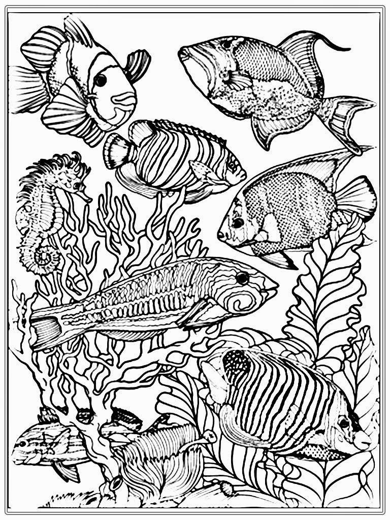 realistic coloring pages realistic coloring pages for adults at getcoloringscom realistic pages coloring 