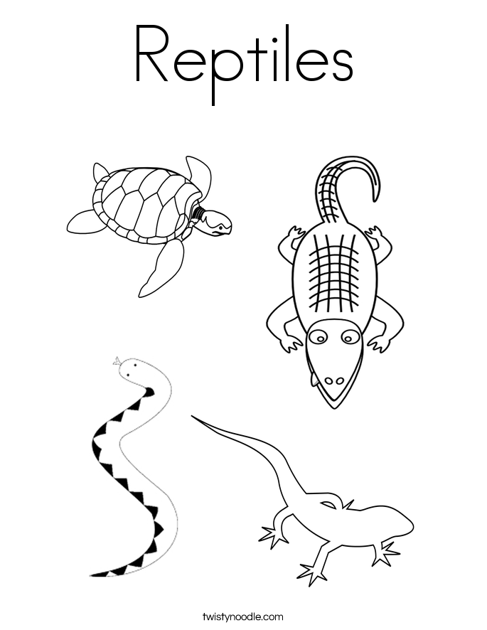 reptile coloring pages funny chameleon coloring pages hellokidscom coloring pages reptile 