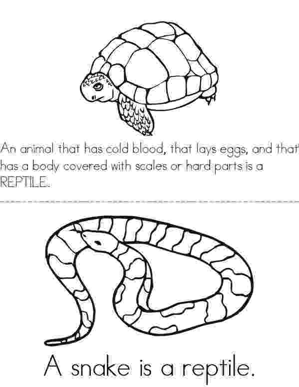 reptile coloring pages r is for reptile coloring page twisty noodle coloring reptile pages 