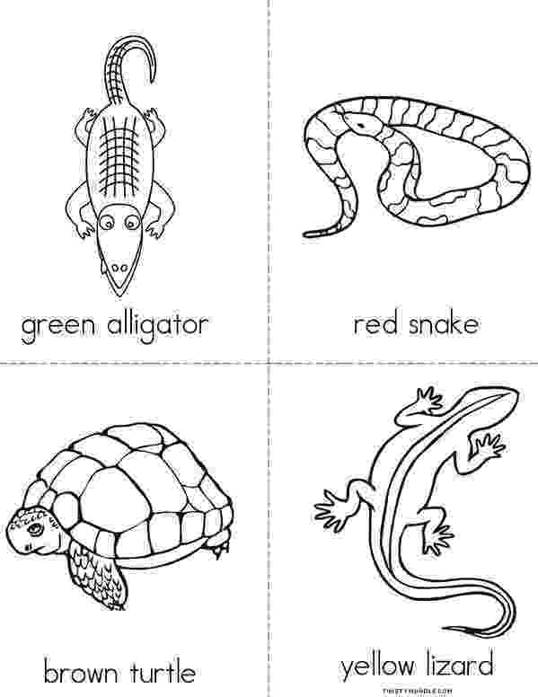 reptile coloring pages reptile coloring pages to download and print for free pages coloring reptile 
