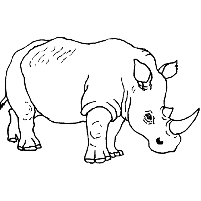 rhinoceros coloring page coloring coloring picture of rhinoceros picture page coloring rhinoceros 