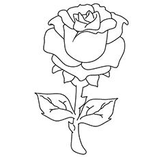 roses color pages roses flower coloring pages roses color pages 