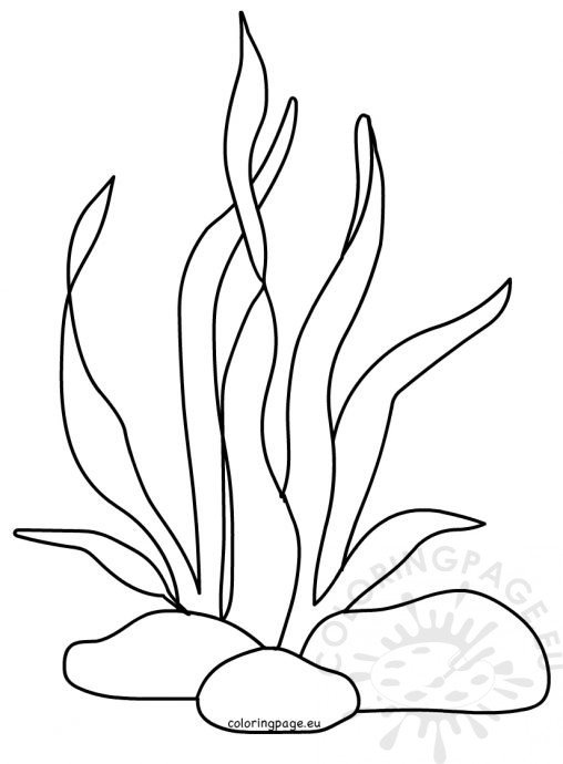 sea plants coloring pages anchor coral reef drawn line art stock vector royalty pages plants sea coloring 