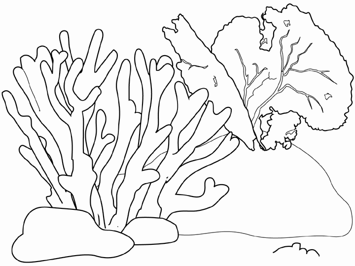 sea plants coloring pages cartoon of green seaweed royalty free vector clipart by sea coloring plants pages 