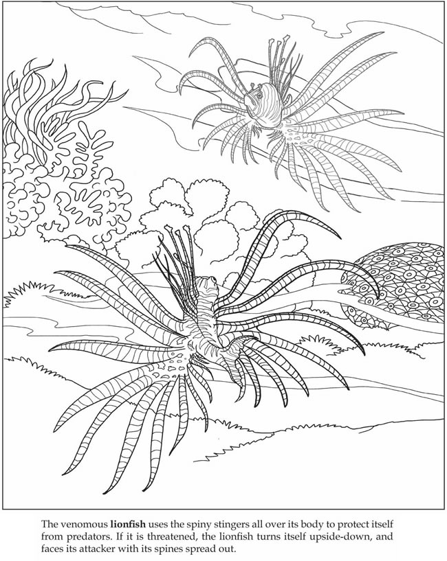 sea plants coloring pages free coloring pages of sea plants coloring plants sea pages 
