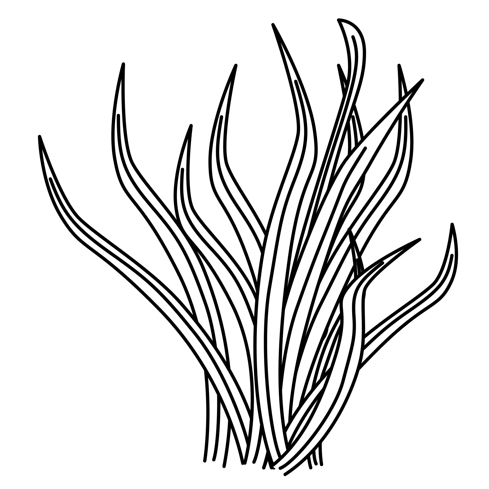 sea plants coloring pages seaweed coloring pages getcoloringpagescom sea coloring plants pages 