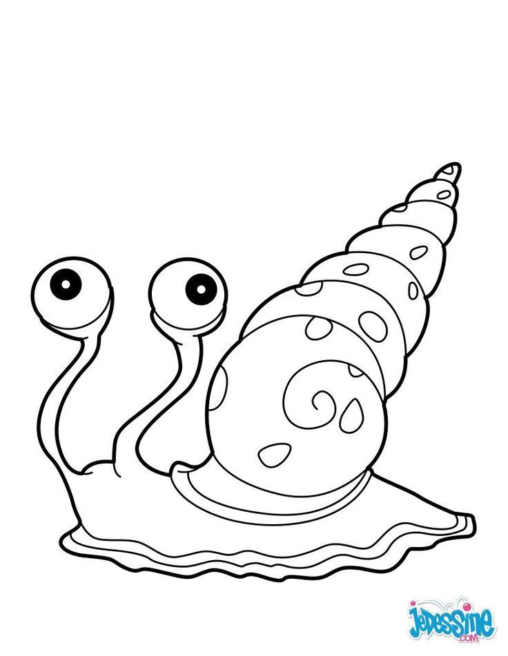 sea snail coloring page sea snail coloring pages hellokidscom snail coloring sea page 