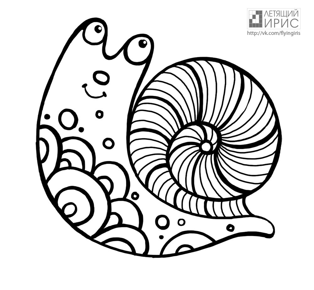 sea snail coloring page snail sea coloring sheets coloring coloring pages sea coloring snail page 