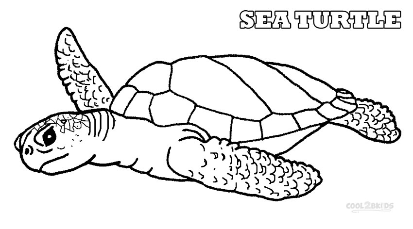 sea turtle coloring page tortuga verde super coloring animales en 2019 page coloring sea turtle 