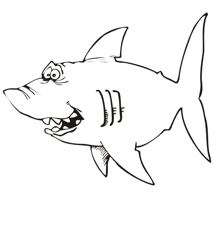 shark coloring sheets easy shark coloring page free printable coloring pages coloring shark sheets 