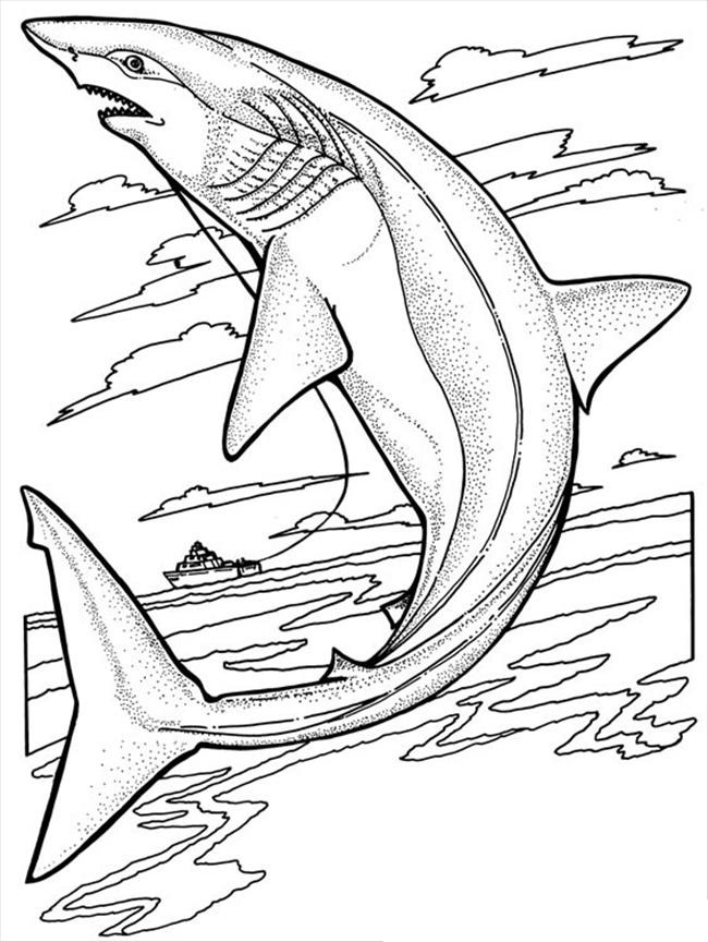 shark coloring sheets free printable shark coloring pages for kids sheets coloring shark 1 1