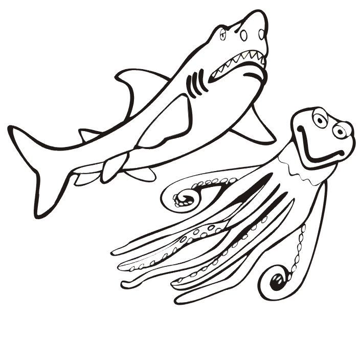 shark coloring sheets mewarnai binatang yang hidup di air ayo mewarnai sheets shark coloring 