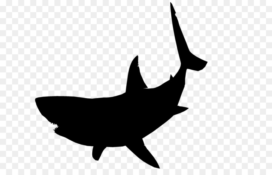 shark silouette quotgreat white shark silhouette blackquot photographic prints shark silouette 