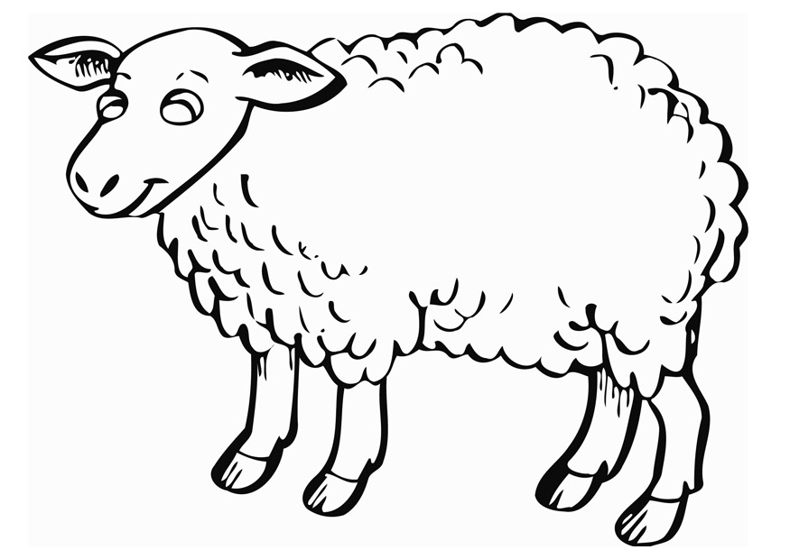 sheep coloring pages to print free printable sheep coloring pages for kids print coloring to sheep pages 