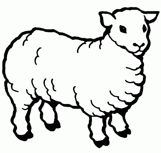 sheep coloring pages to print free printable sheep coloring pages for kids print sheep to pages coloring 
