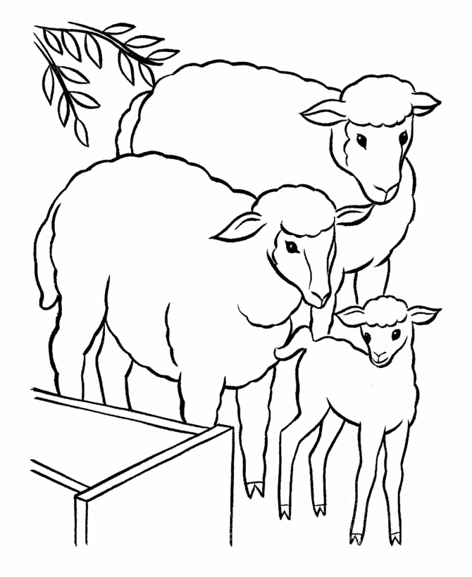 sheep coloring pages to print sheep free printable coloring pages sheep pages to print coloring 