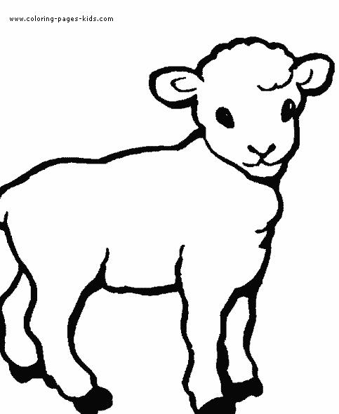 sheep pictures to color clothes and stuff online farm animal coloring pages color sheep pictures to 