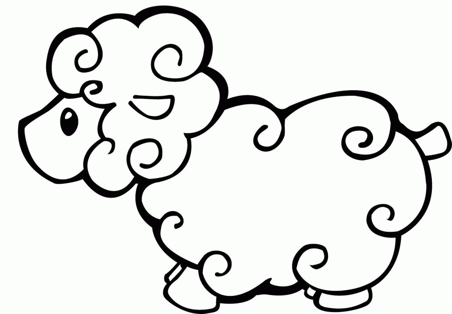 sheep pictures to color coloring pages sheep coloring home pictures sheep to color 