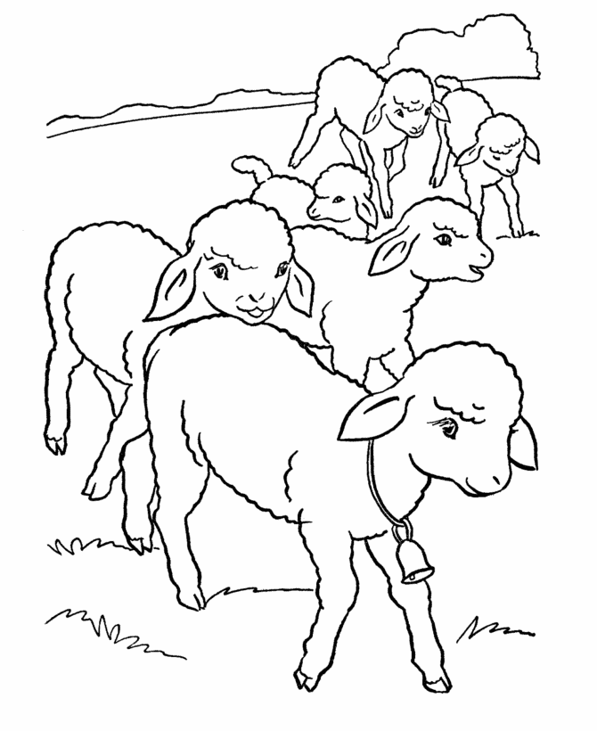 sheep pictures to color free printable sheep coloring pages for kids to sheep pictures color 